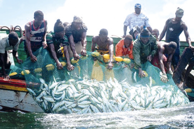 Excursion Arrivée des Pêcheurs