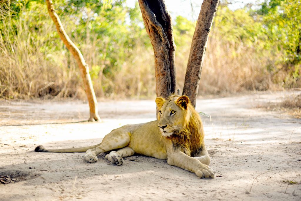 Excursion Réserve de Fathala (10)