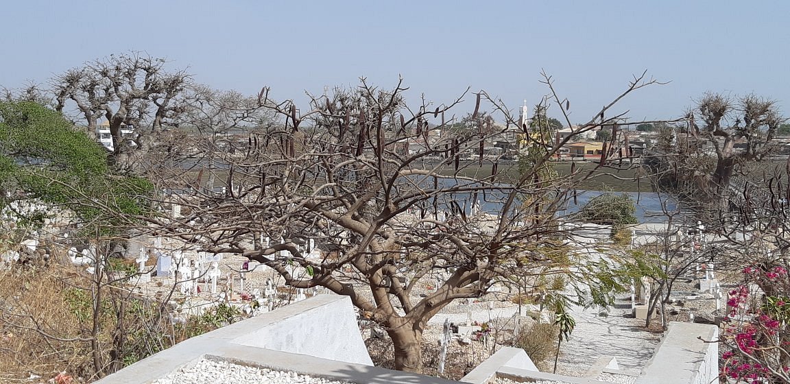 Excursion Saly Joal Fadiouth (6)