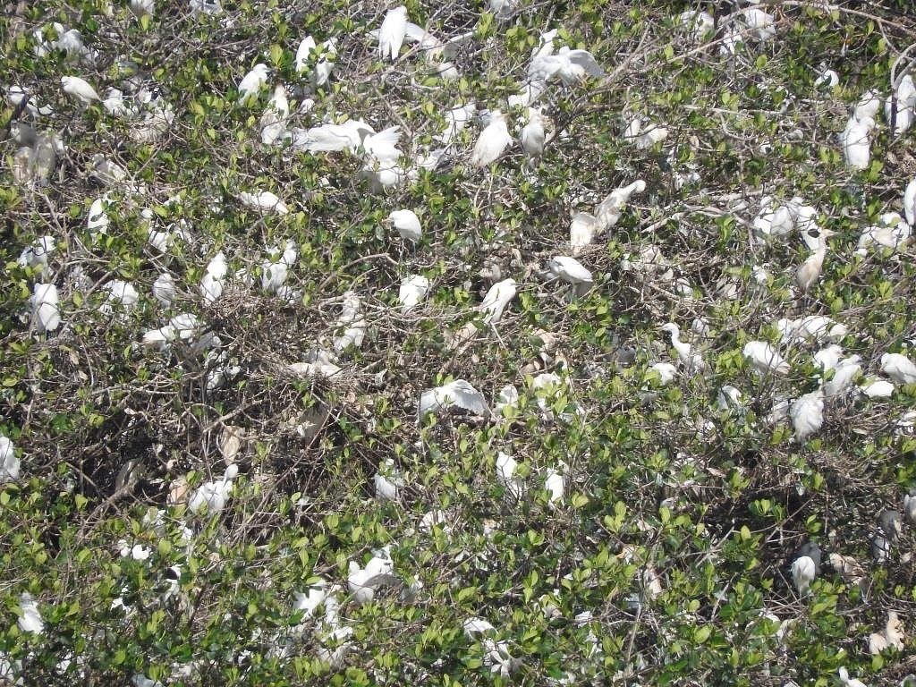 lagune-de-la-somone (16)